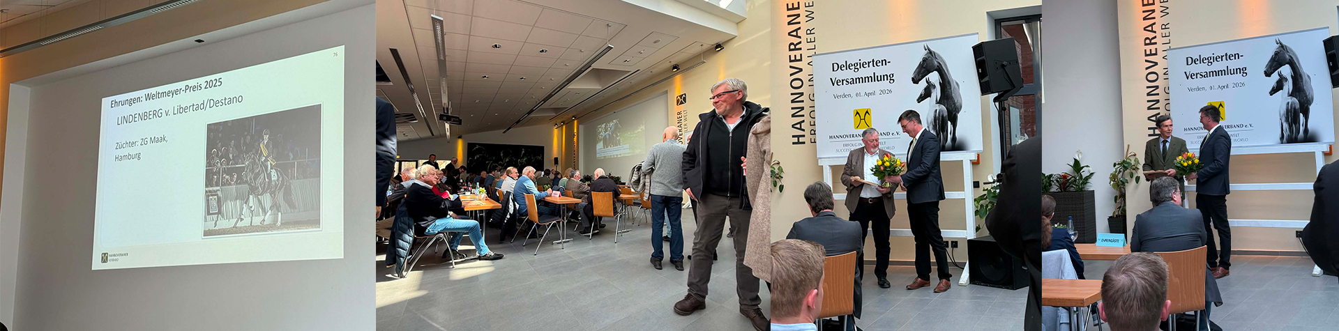 Nyheder fra Hannoveraner Verband.