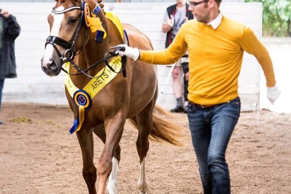 13627199_10208807612321592_7881037104954211611_n-1