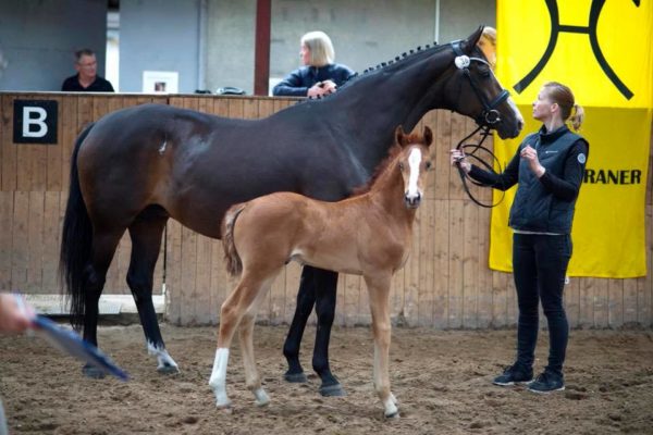 36175993_10214758479249546_4446718794194223104_n